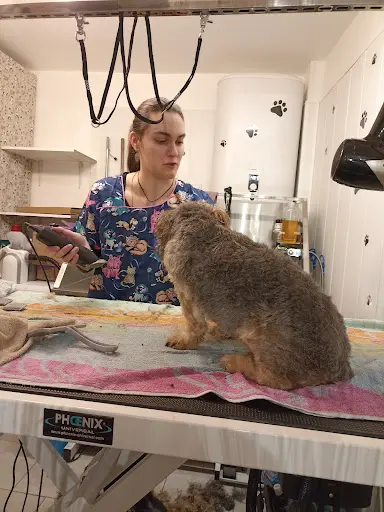 Nos Zanimaux