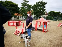 Éducation | Canin | Île de France | Chiot | Agility