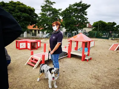 Éducation | Canin | Île de France | Chiot | Agility
