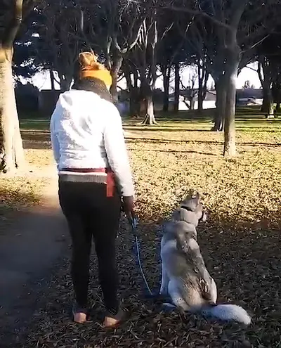 Dog Keeper - Éducateur Canin À Nîmes