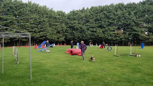 Club d'Éducation Canine de Gauchy