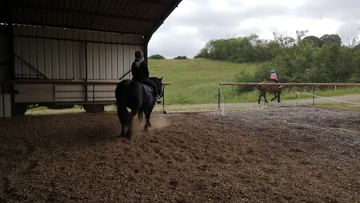 Cheval Senior