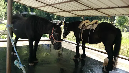 Club Equestre Vignemale