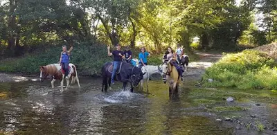 Préscilia Ranch