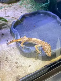 E.leclerc Animalerie