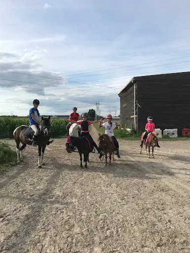 Fun Jump Equigeiss