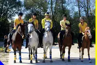 Poney Club d'Alsace