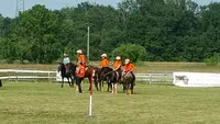Centre Equestre de la Zorn