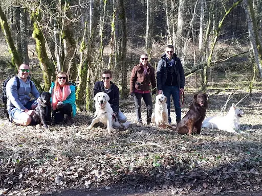 Os Mose Canine - Educateur Canin Comportementaliste