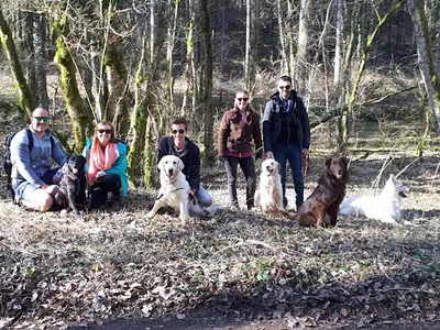 Os Mose Canine - Educateur Canin Comportementaliste