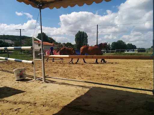 Haras de Castille