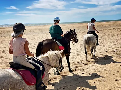 Cheval Plaisir Genêts