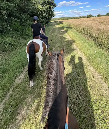 Les Chevaux de la Lande