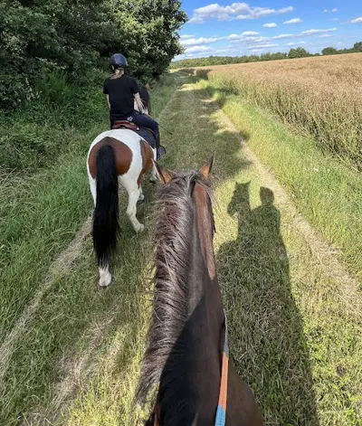 Les Chevaux de la Lande