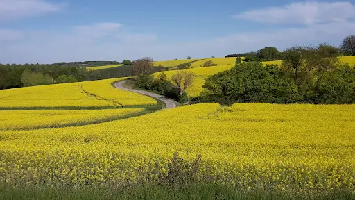 Les Ecuries de la Charriere