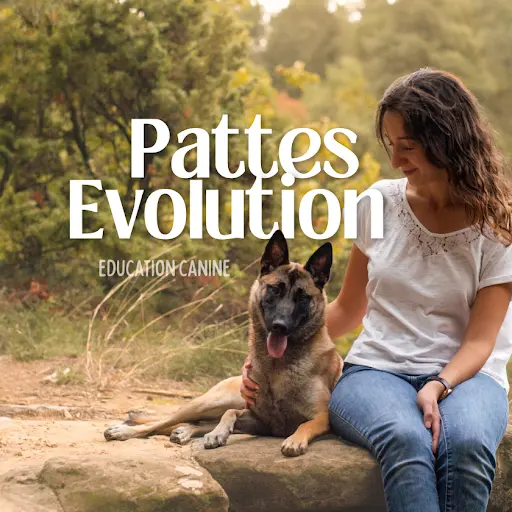 Pattes Evolution