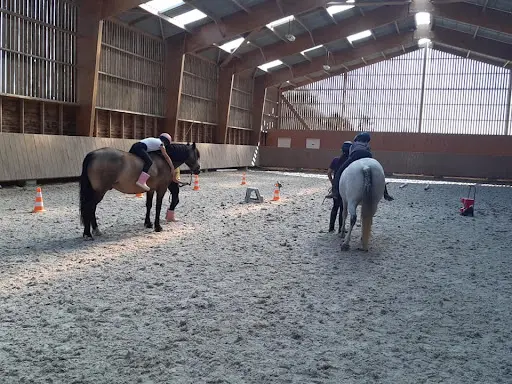 Club Hippique Argentonnais