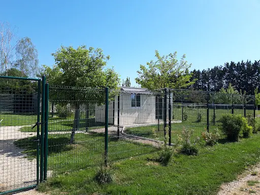 Pension Chiens "au Chemin des 4 Pattes" en Côte d'Or 21