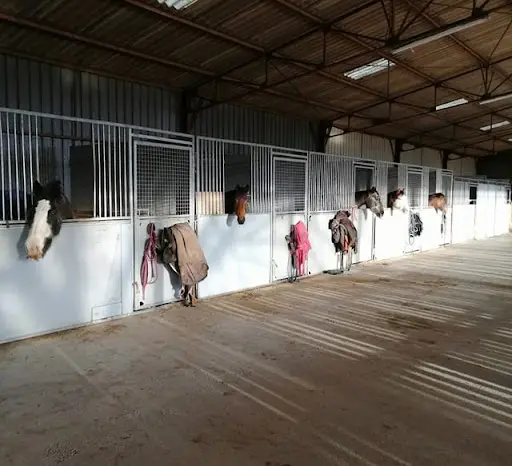 Les Ecuries "les Ptits Sabots de Germigny"