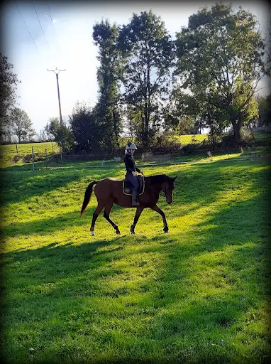 Ecuries du Luc - Pensions Chevaux