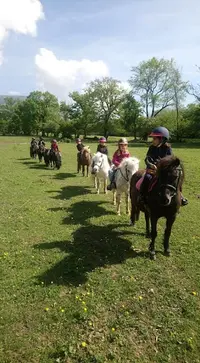 Sports Equestres Belle Ferme