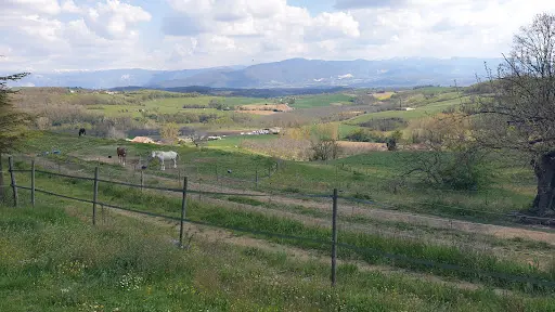 Ecuries des Chênes