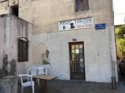 Prop Toutou