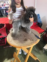 Beauté Canine