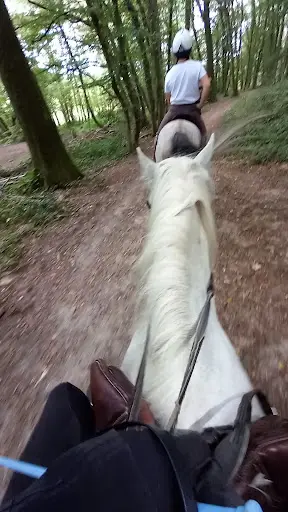 Centre Equestre Grange Martin