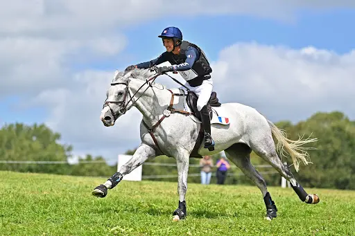 Haras du Montceau