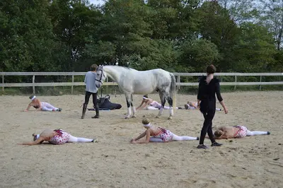 Les Poneys Mômes d'Hélène