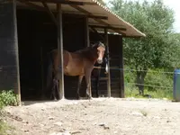 Ranch Malena