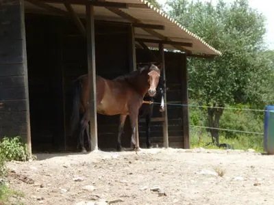 Ranch Malena