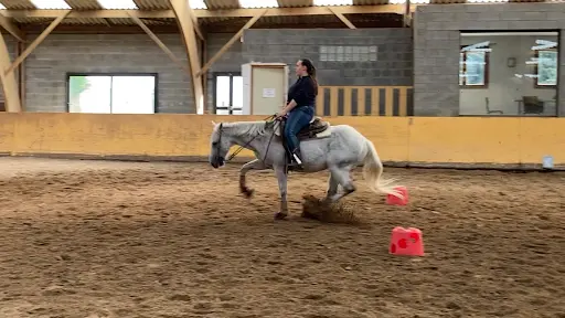 Kon Tiki Farm - Équitation Western Ethologique