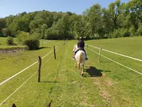 Ferme Équestre de la Chenaie