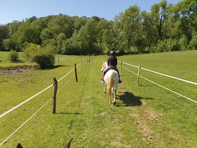 Ferme Équestre de la Chenaie