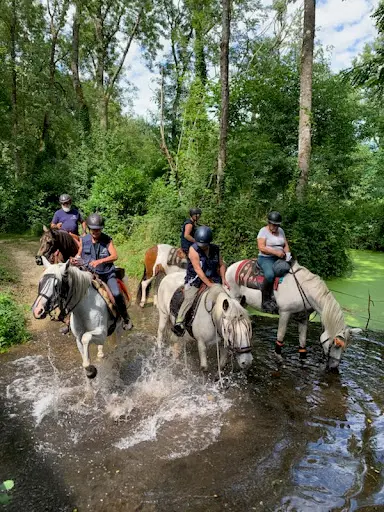Association Gizeux Passion Equestre