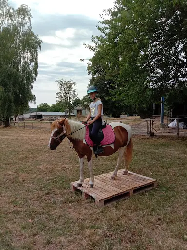 Ferme Equi Complice