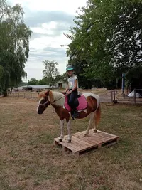 Ferme Equi Complice