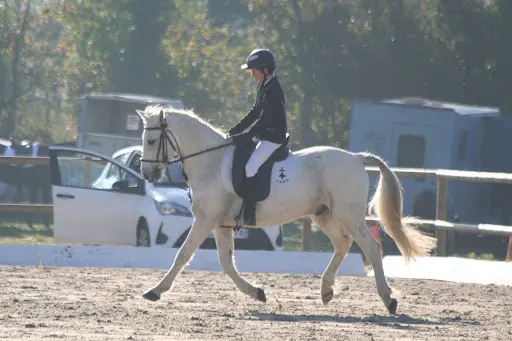 Poney Club de Glomel