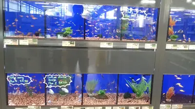 Jardiland