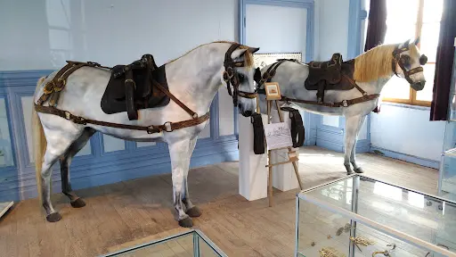 Le Musée Lorrain du Cheval