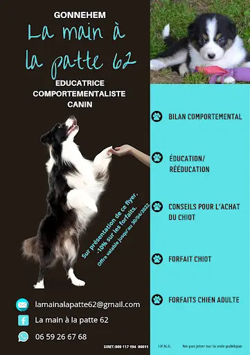 La Main À la Patte 62
