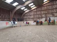 Haras-poney Club de Sainte Eugénie & Gites de Normandie