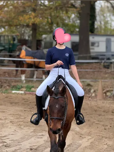 Haras de la Suef