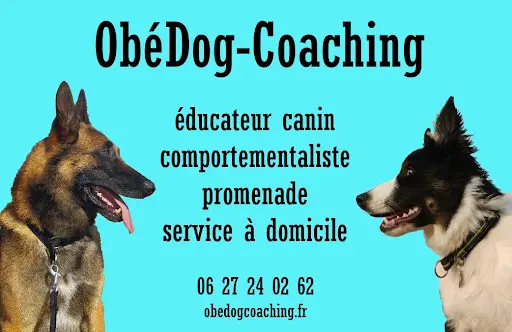 Obédog Coaching