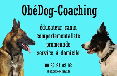 Obédog Coaching