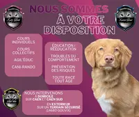 Sarl E2y Services Canin