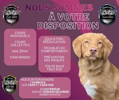 Sarl E2y Services Canin