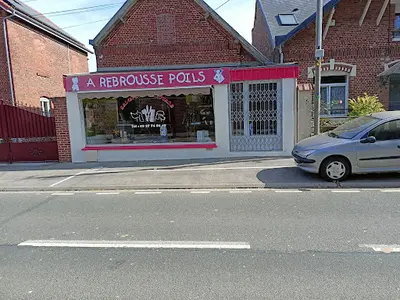 A Rebrousse Poils